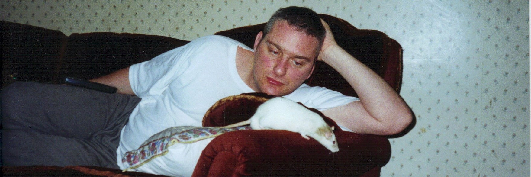 Mike Mills 🐝 banner