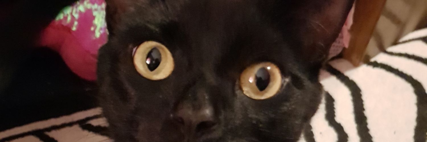 morphinequeen's profile banner image