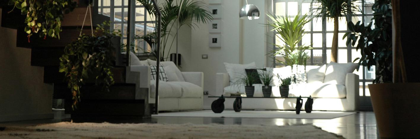 Themood4design's profile banner image