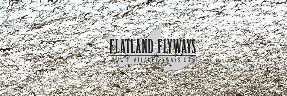 flatlandflyways's profile banner image