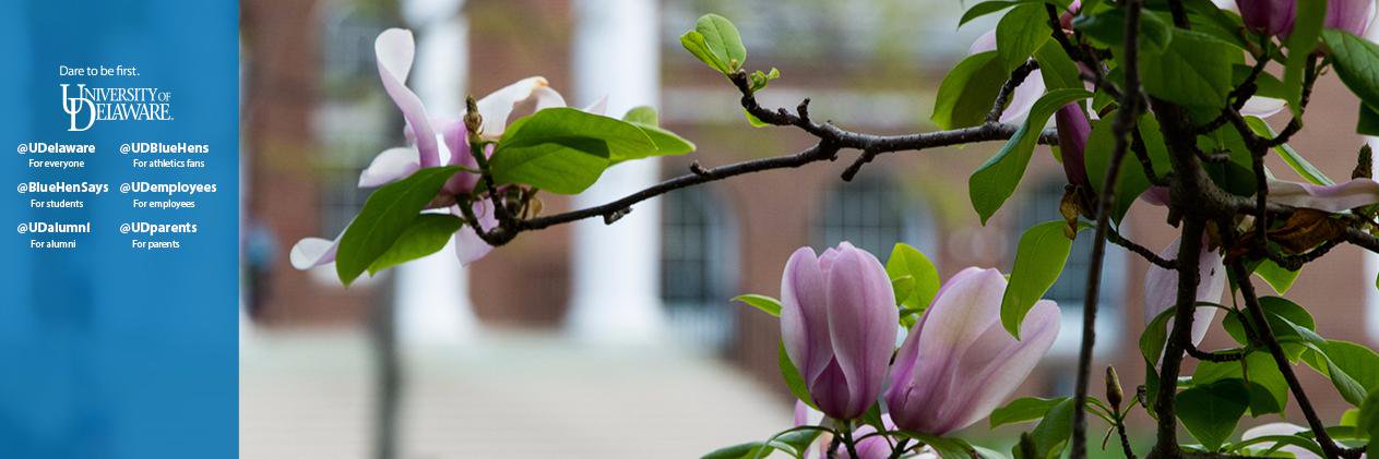 BlueHen_Alex's profile banner image