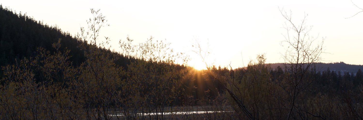 D_Faegre's profile banner image