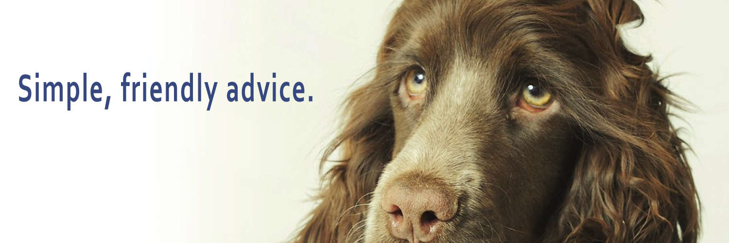 Nelson McLean banner