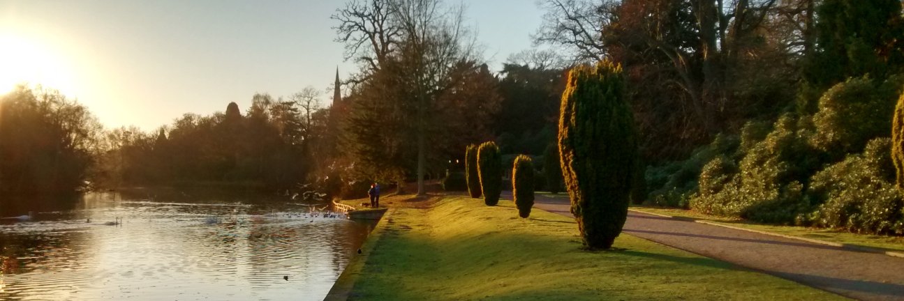 MJ_Horticulture's profile banner image