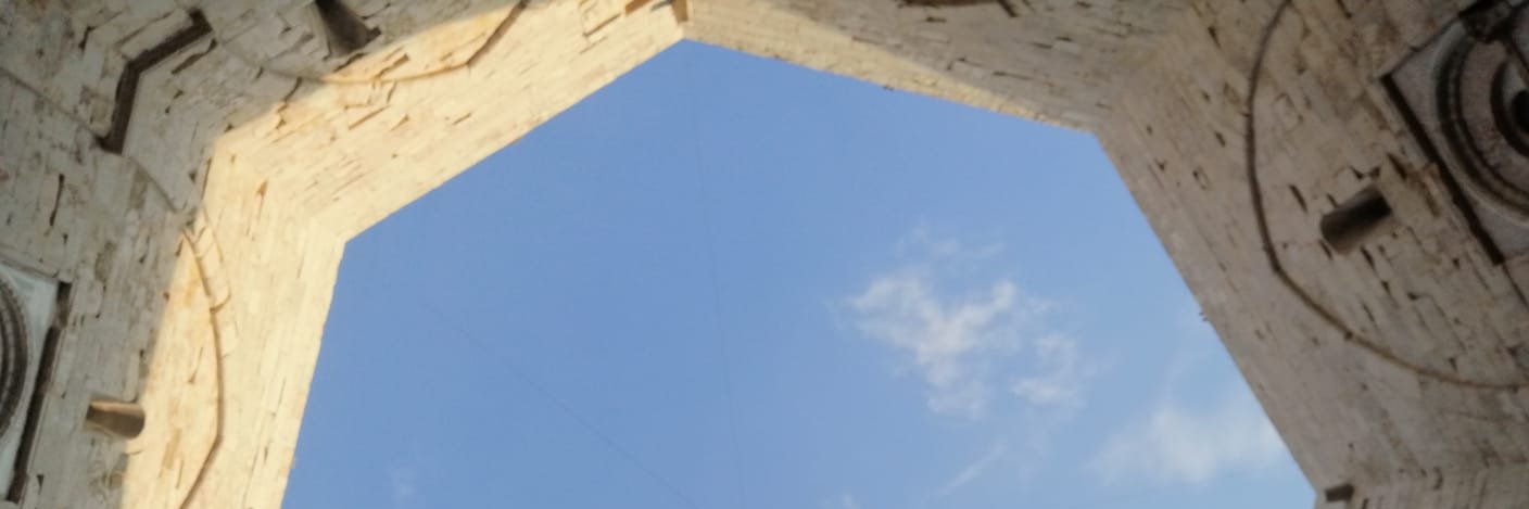 sasecchia's profile banner image
