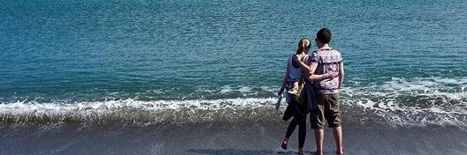 Stacey Ashworth banner