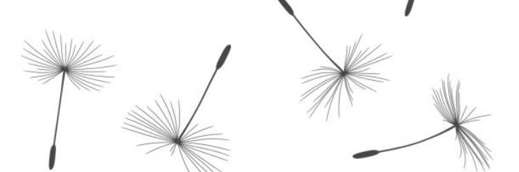 cpoltrok's profile banner image