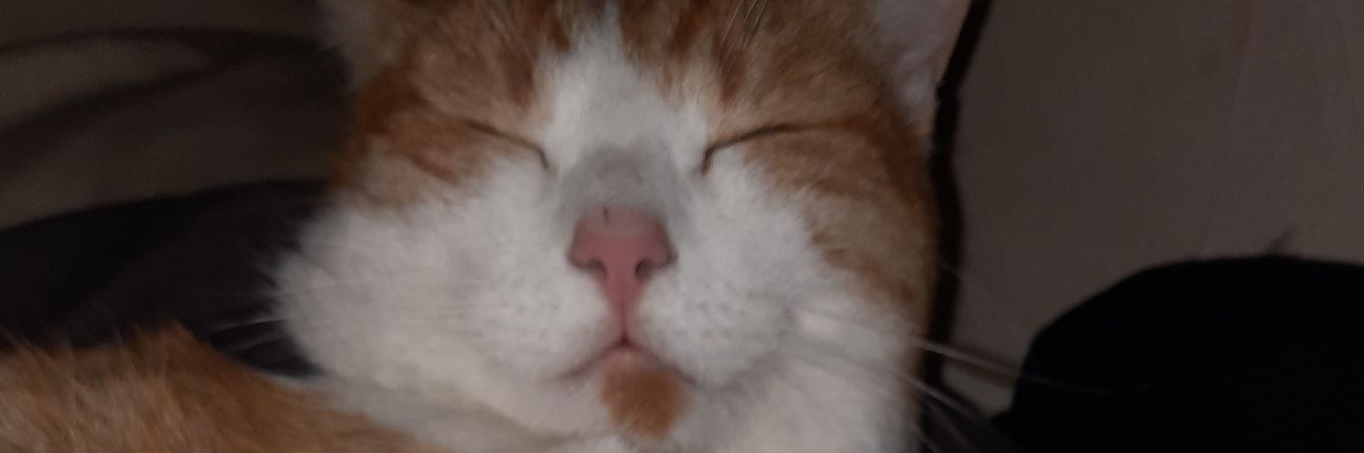 helmjolnir's profile banner image