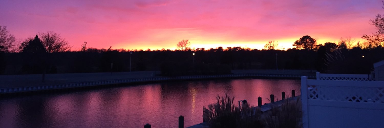 Allison Martin banner