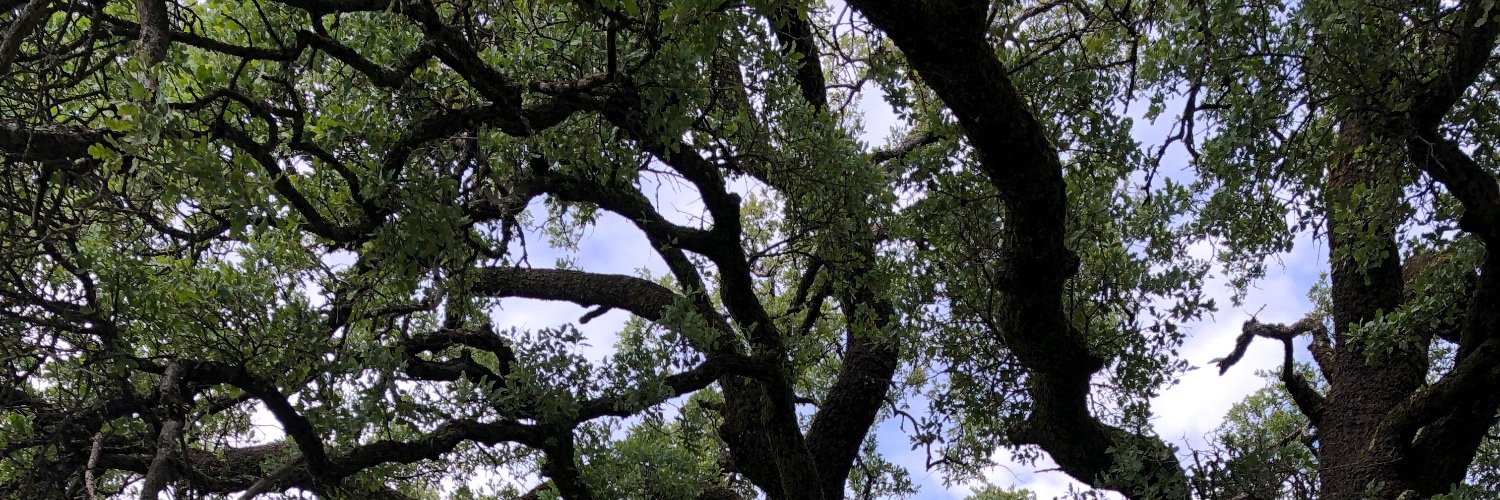 JenWarren61's profile banner image