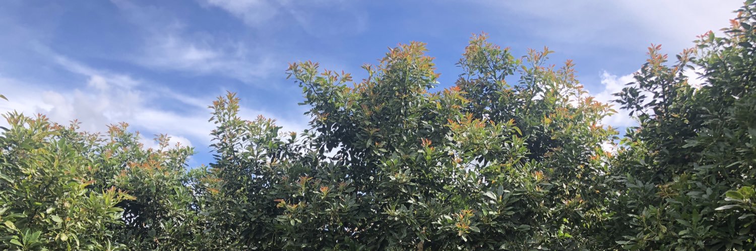 agrinovo's profile banner image