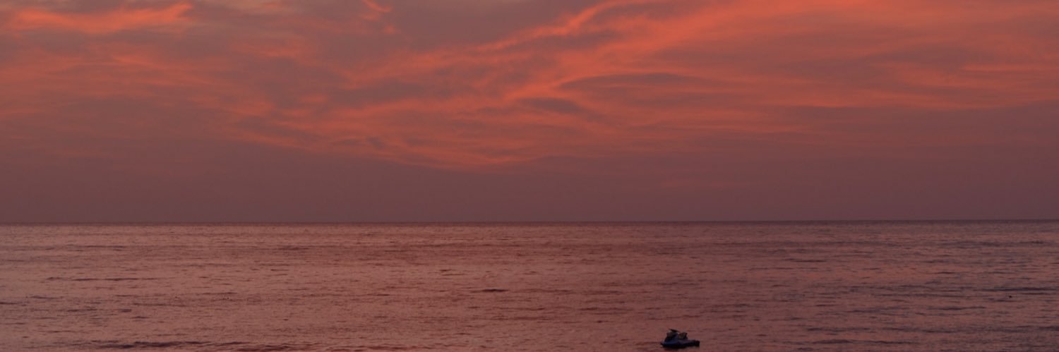 pinarphalange's profile banner image