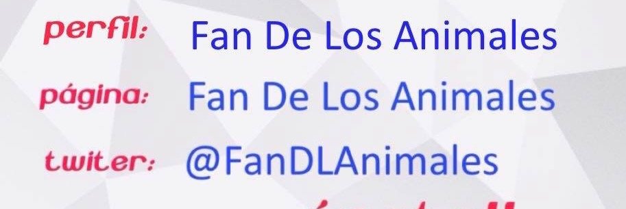 FanDLAnimales's profile banner image