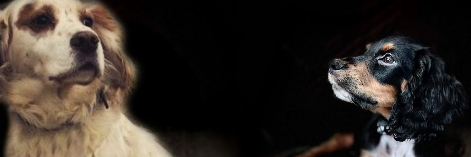 hannnahinglis's profile banner image