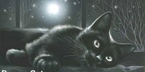 dcates50's profile banner image