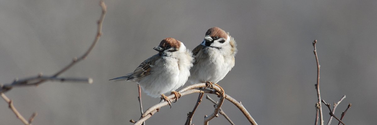 bread_and_tea's profile banner image