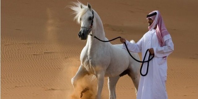 Alsaif1966's profile banner image