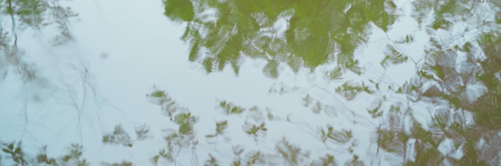 ZoëAubugeau-Williams banner