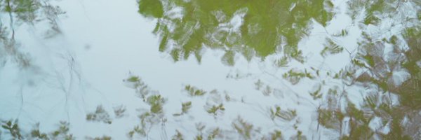 Zjsaw Profile Banner