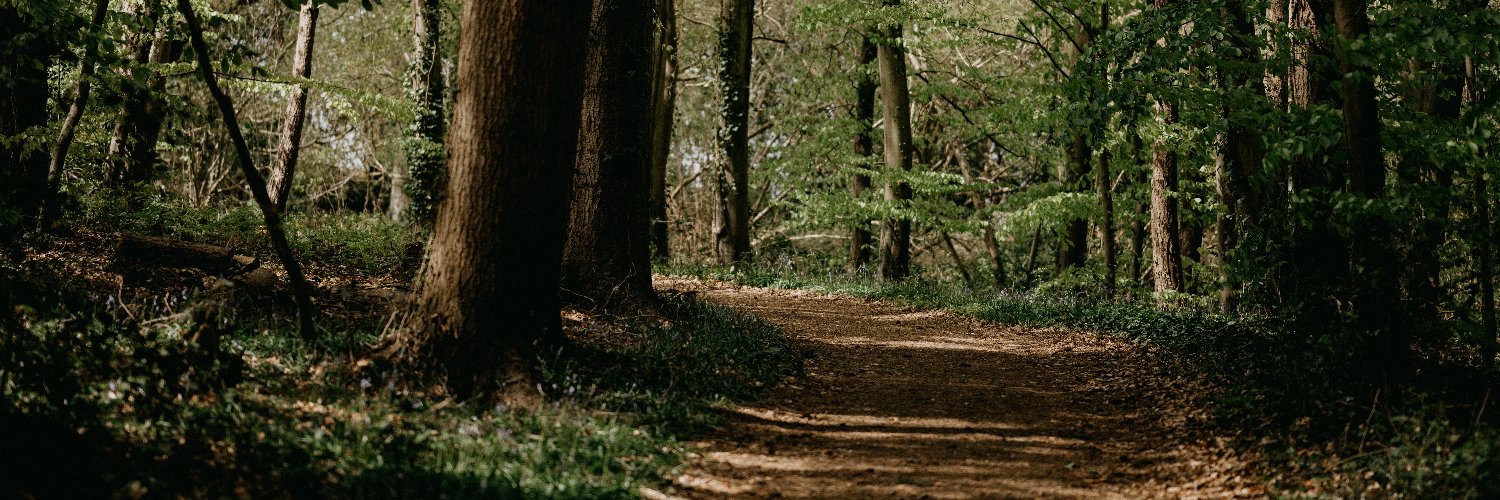 simplysalva's profile banner image