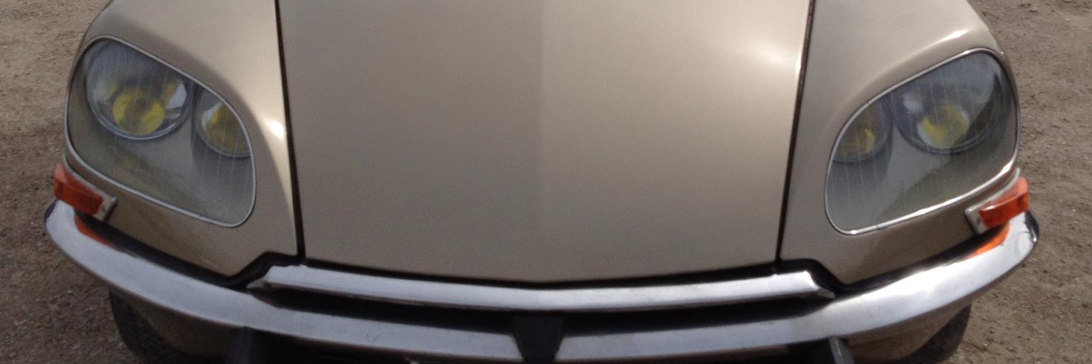 WildBridge's profile banner image