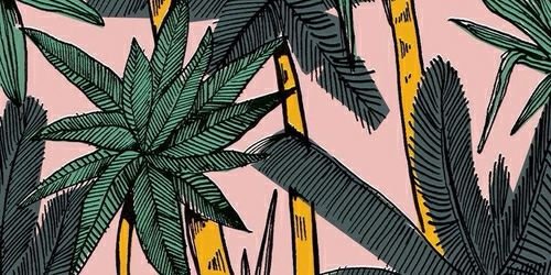 theycallmebeeaa's profile banner image