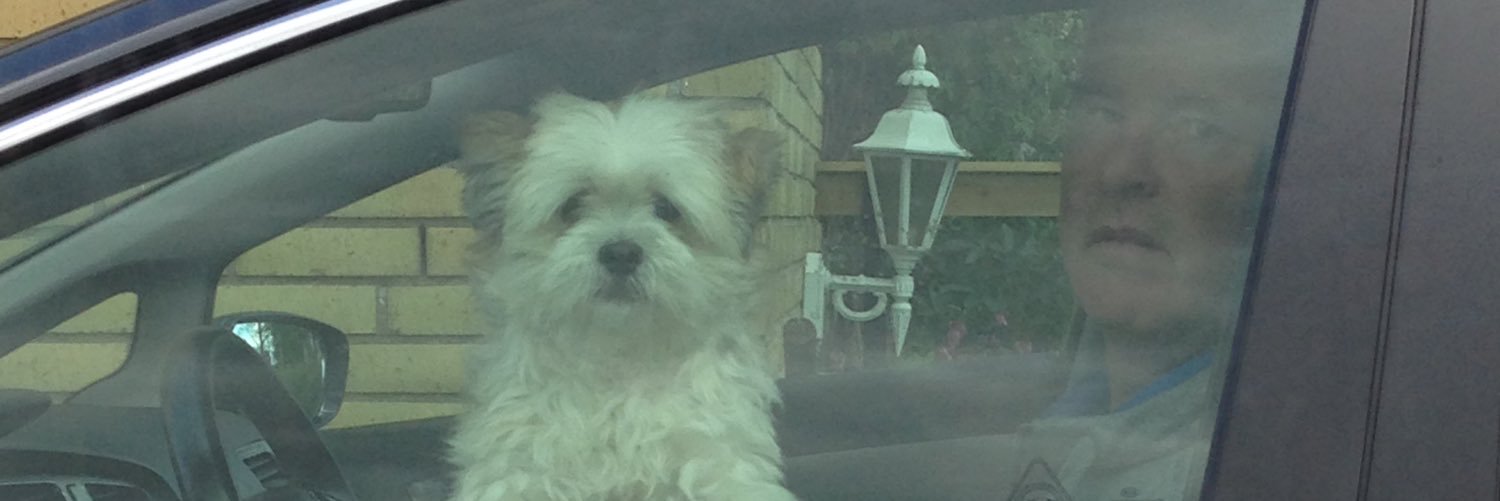 mrmarnil's profile banner image