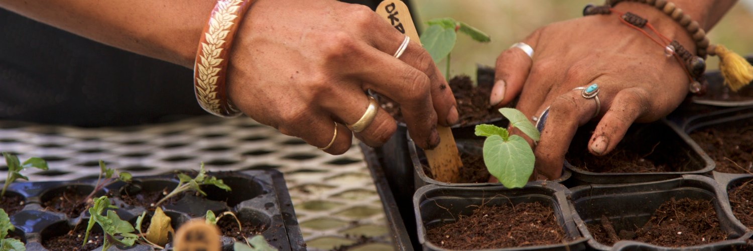 GoFarmHawaii's profile banner image