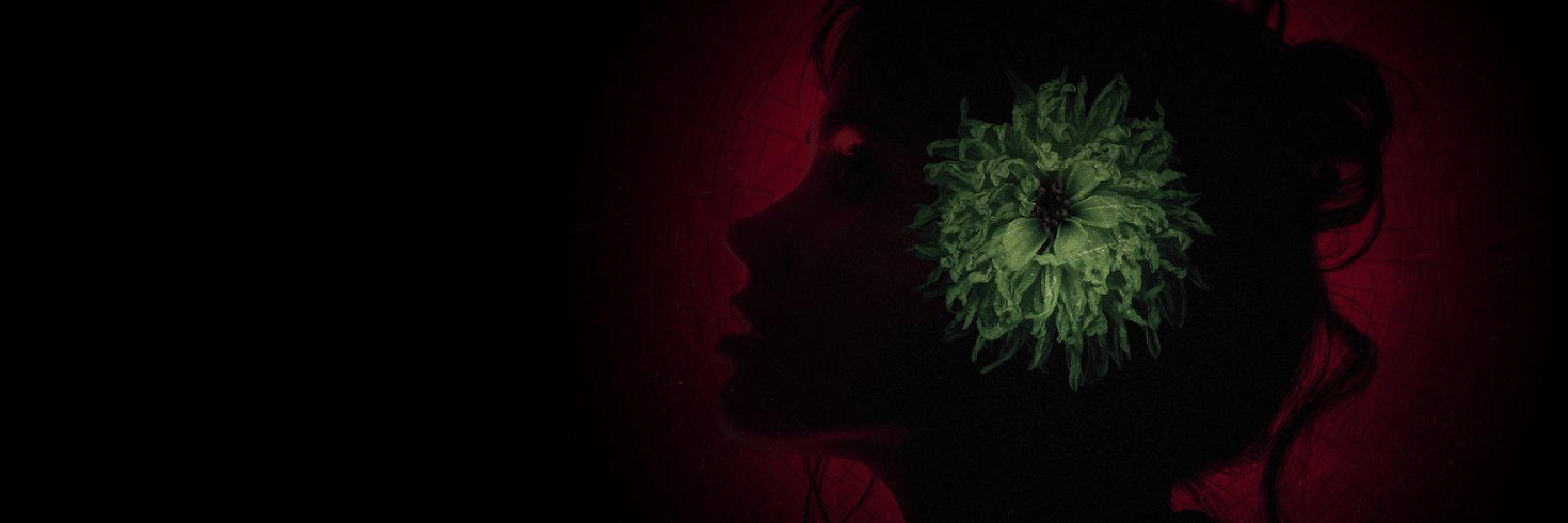 Rhysing's profile banner image
