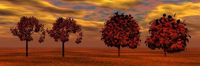 Anonymous Maple banner