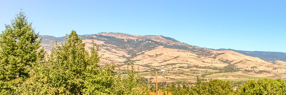 TenRealty's profile banner image