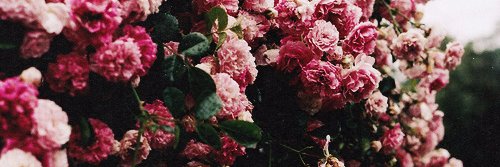 dianaandreinaa's profile banner image
