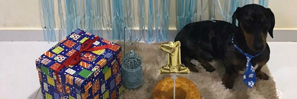 Lisanddry's profile banner image