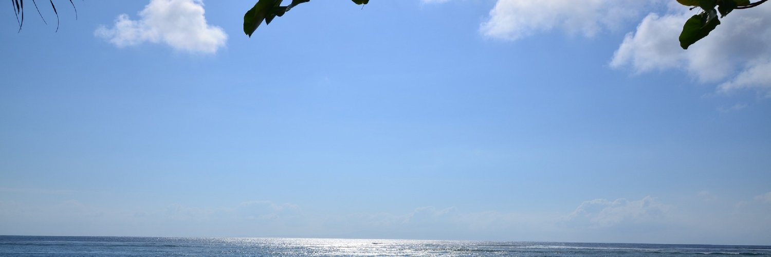ilirillyri's profile banner image