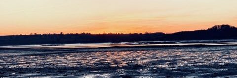 NeVoZ_c's profile banner image