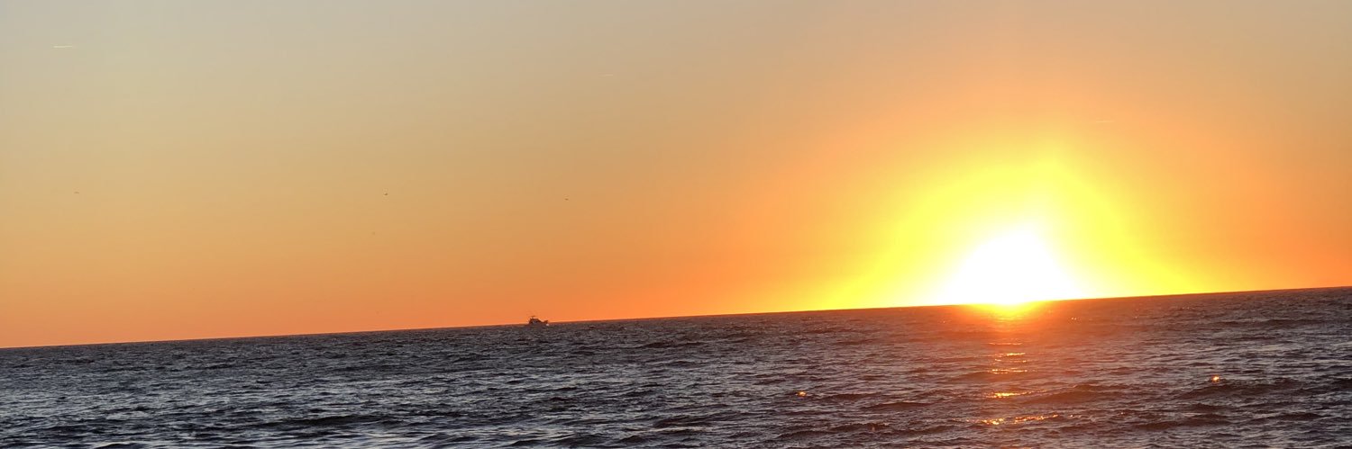 Alejandra1Fm's profile banner image