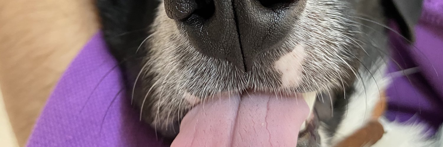 TwoNoG_'s profile banner image
