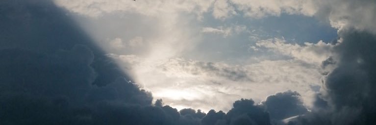 Betty Valladarez banner