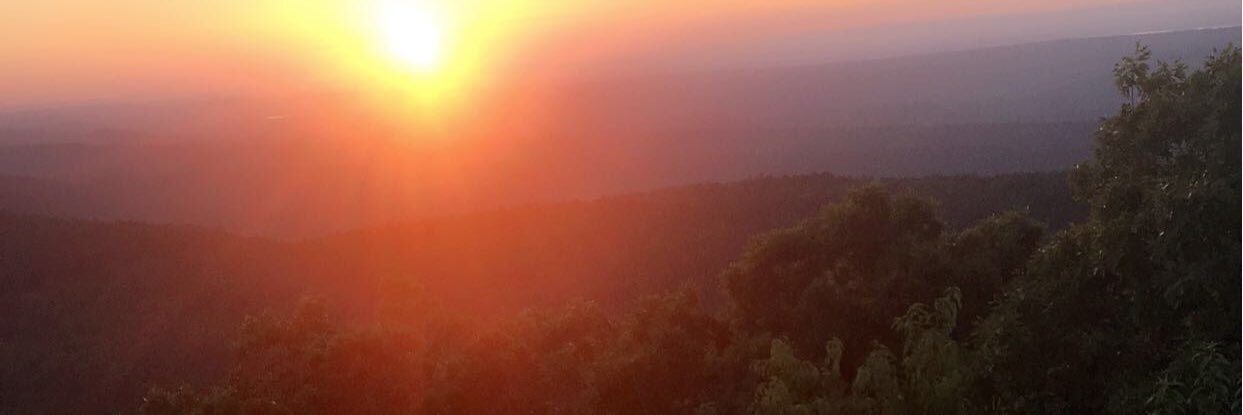 edencoker's profile banner image