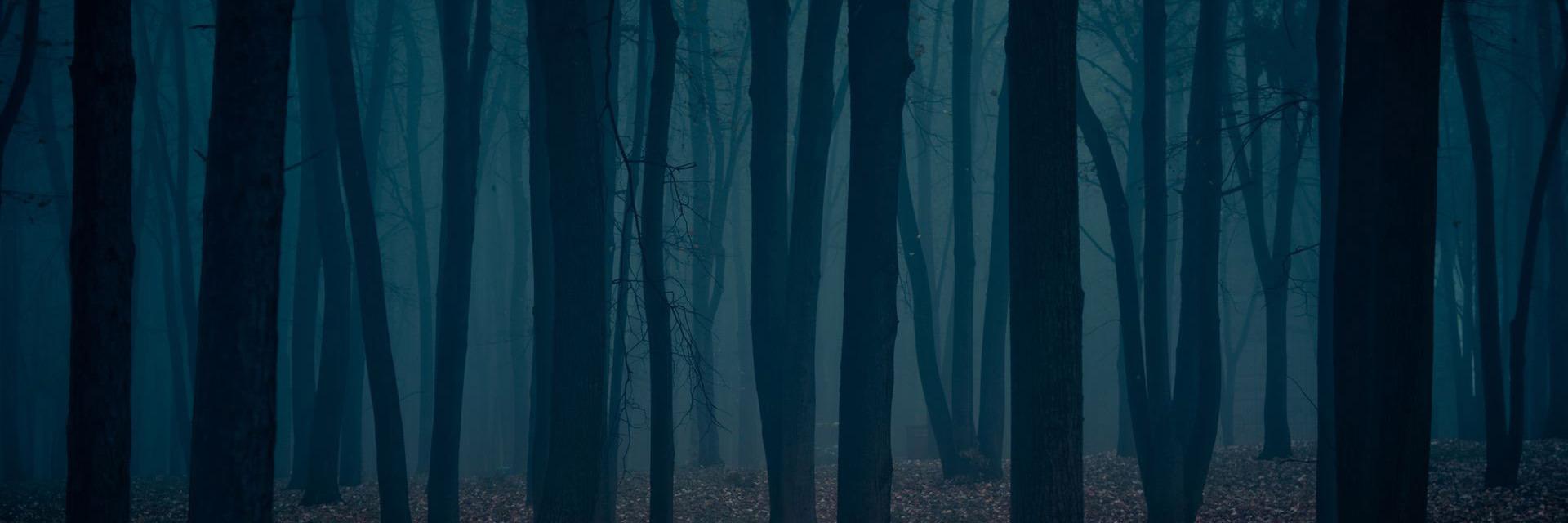 mightbecarl's profile banner image