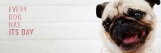 InspiredByJonas's profile banner image
