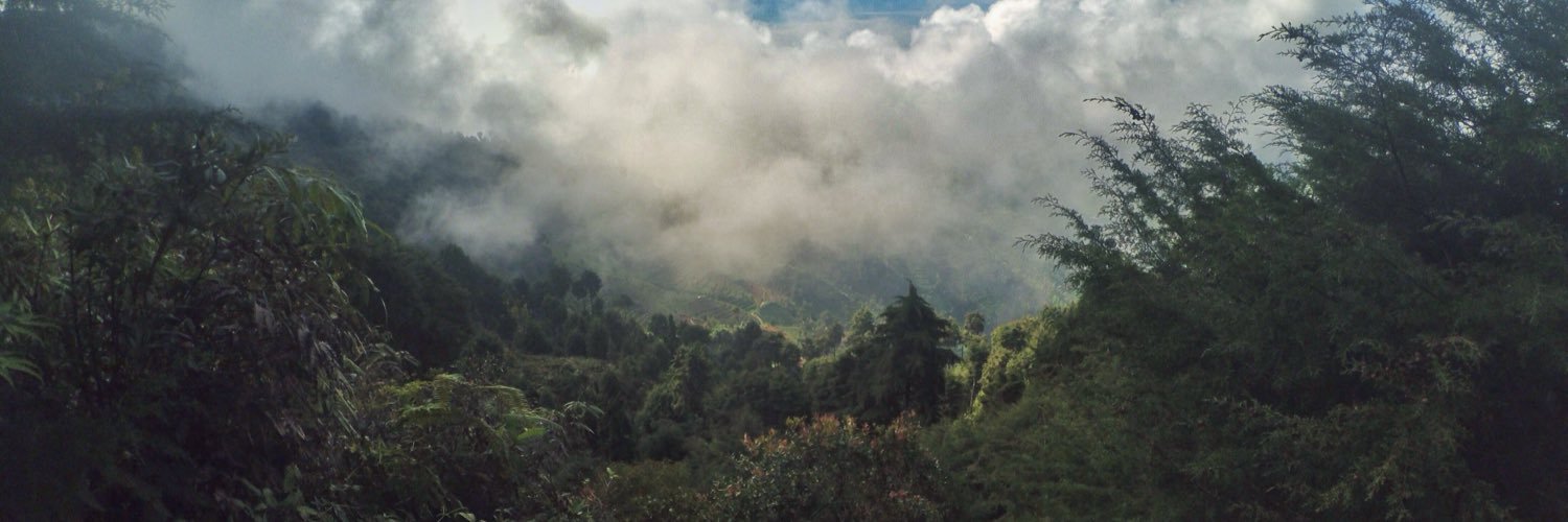 ridwanmets's profile banner image