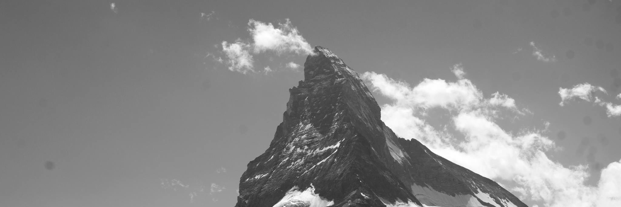 anetra's profile banner image