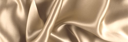 Alexa_Pay's profile banner image