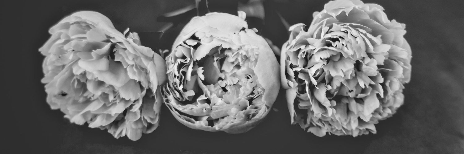 narryspeonies's profile banner image