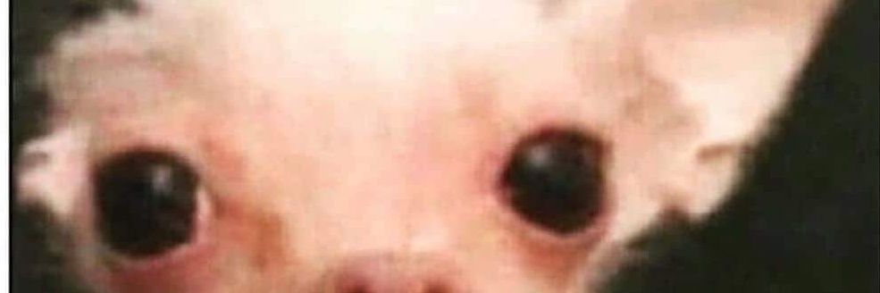 clandynamicz's profile banner image