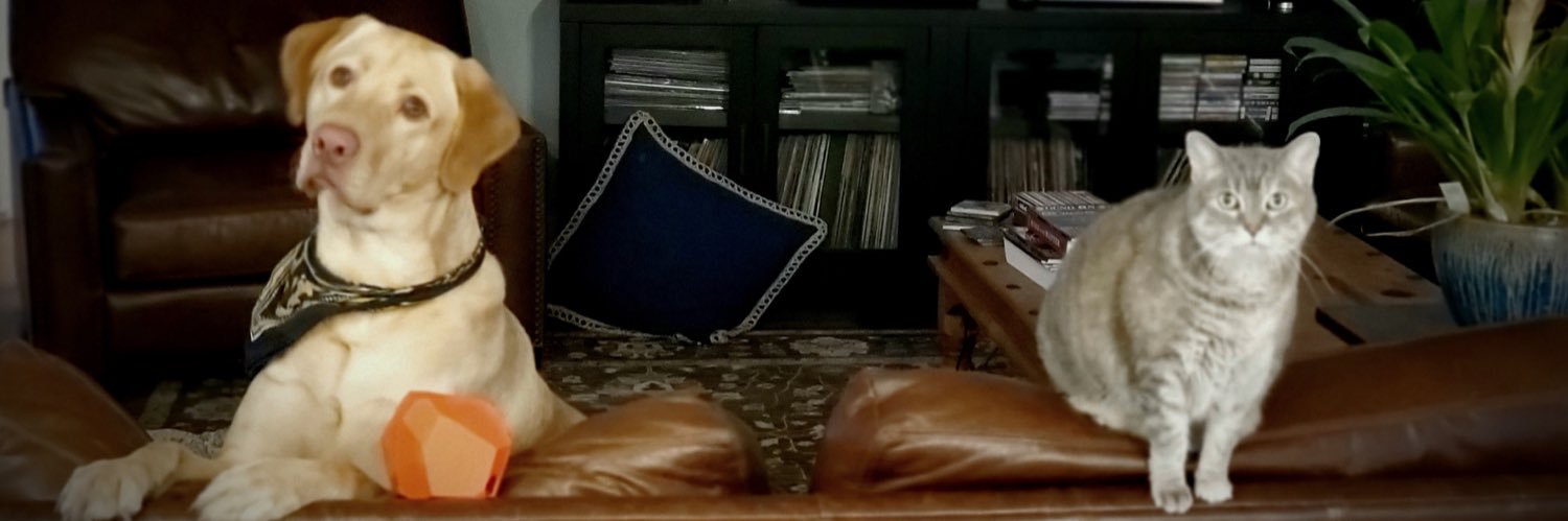 Zach Ephlin @ UNCG banner