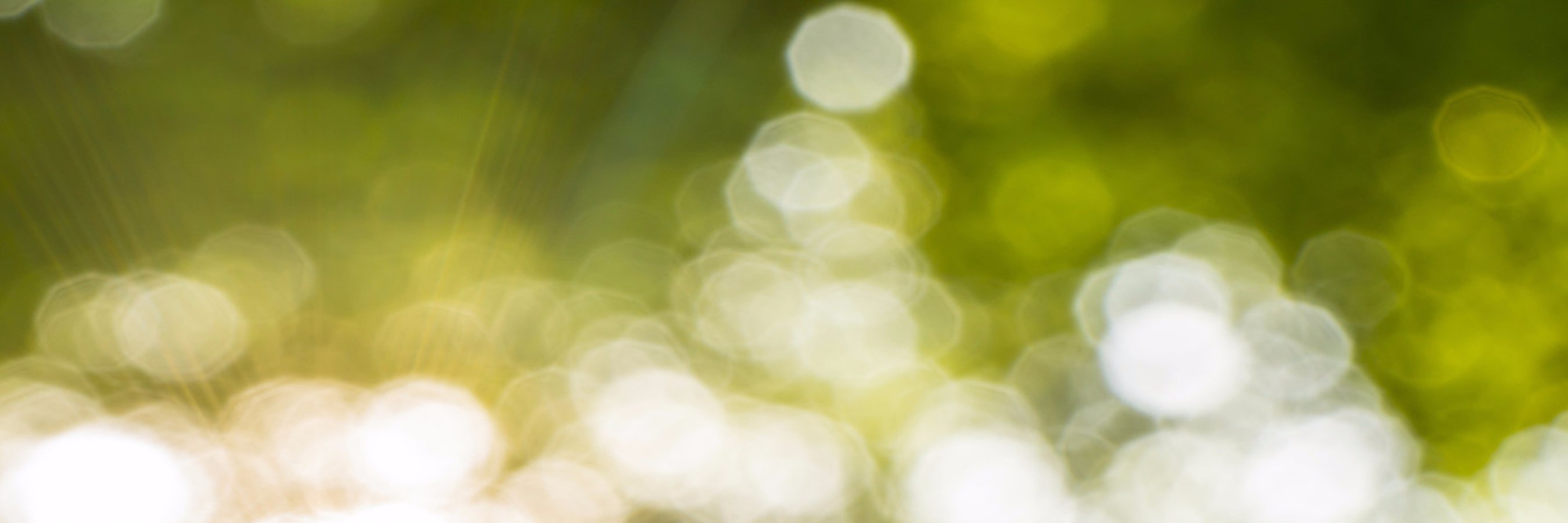 Skushno's profile banner image