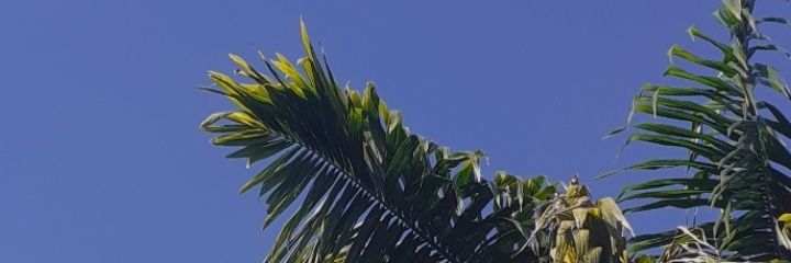 ritaandrader's profile banner image