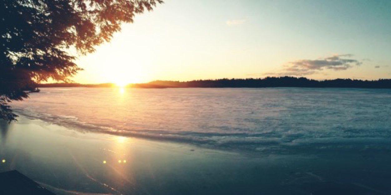mlackenbauer_'s profile banner image